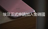 埃及正式申請加入金磚國家　尋求「去美元化」