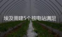 埃及需建5個核電站滿足電力需求