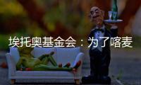 埃托奧基金會：為了喀麥隆工作