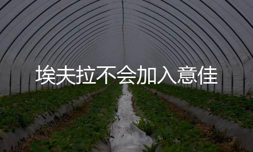 埃夫拉不會(huì)加入意佳