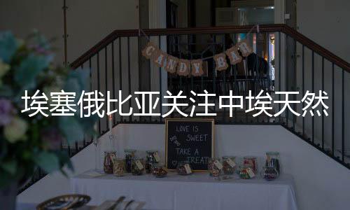 埃塞俄比亞關(guān)注中埃天然氣項(xiàng)目合作