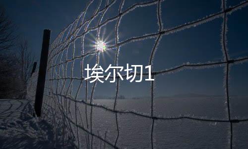 埃爾切1