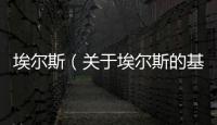 埃爾斯（關(guān)于埃爾斯的基本情況說明介紹）