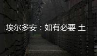 埃爾多安：如有必要 土耳其可能會與歐盟分道揚鑣