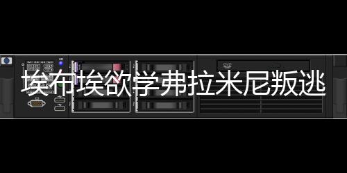 埃布埃欲學弗拉米尼叛逃 自由身投奔國米？