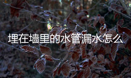 埋在墻里的水管漏水怎么辦（水管漏水怎么辦）