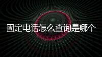 固定電話怎么查詢是哪個單位的（固定電話查詢詳細單位）
