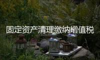 固定資產清理繳納增值稅申報表（固定資產清理繳納增值稅）
