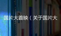 國片大首映（關于國片大首映的基本情況說明介紹）
