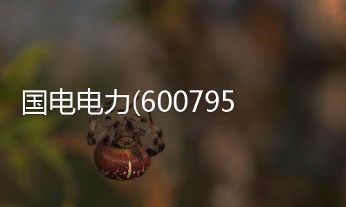 國電電力(600795)年報點評：火電盈利修復(fù) 水電成長可期