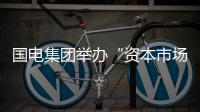 國電集團舉辦“資本市場與電力行業情況介紹”講座