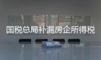 國稅總局補(bǔ)漏房企所得稅