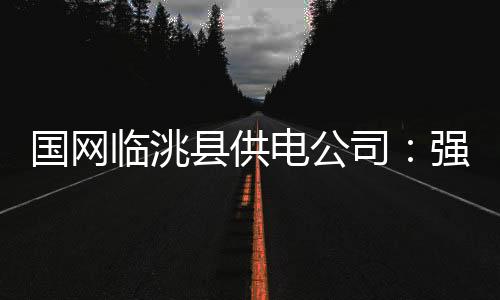 國網臨洮縣供電公司：強化紀檢監督 助力優質服務水平提升