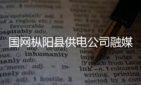 國網樅陽縣供電公司融媒體工作站正式揭牌成立