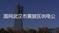 國網武漢市黃陂區供電公司：夏日能效清涼“診斷” 助力客戶降暑提效
