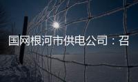 國網根河市供電公司：召開“黨建+”推進會暨公司發展規劃工作會議