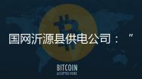 國網沂源縣供電公司：“綠色義診” 助力特色農業發展