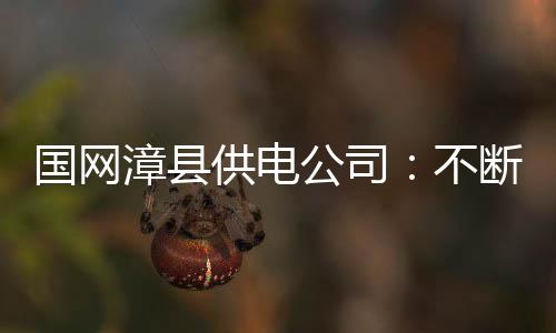 國網漳縣供電公司：不斷強化黨風廉政建設工作