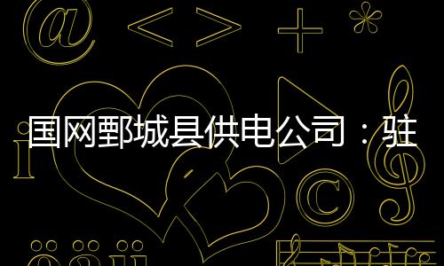 國網鄄城縣供電公司：駐廠監造把牢入網“質量關”
