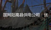國網陽高縣供電公司：優質服務賦能，驅動發展惠民加速度