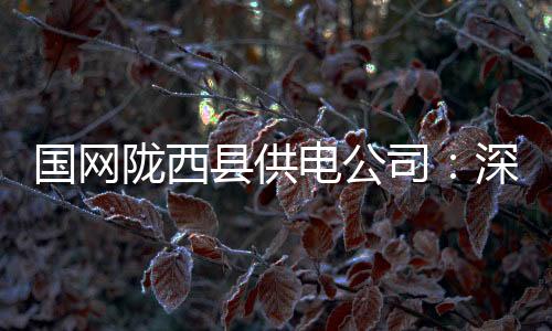 國網隴西縣供電公司：深化監督保供電 為中、高考保駕護航