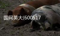 國網(wǎng)英大(600517)