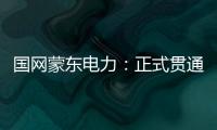 國網蒙東電力：正式貫通數字化電子發票“業財稅票”數據鏈路