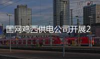 國網雞西供電公司開展2024年度數據監測分析工作