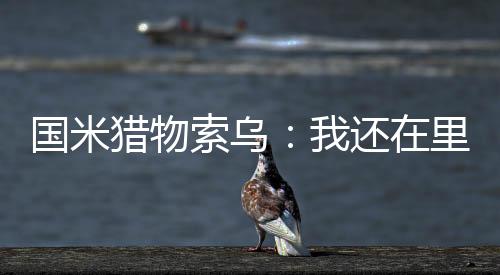 國米獵物索烏：我還在里爾，但一切皆有可能