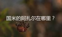國米的阿扎爾在哪里？