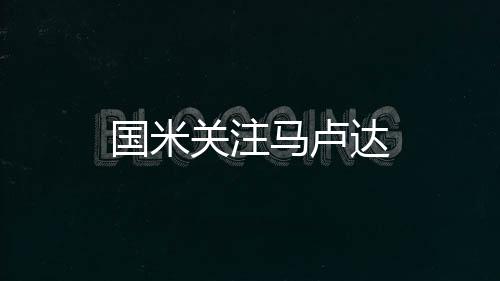 國(guó)米關(guān)注馬盧達(dá)