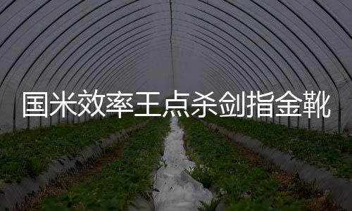 國米效率王點殺劍指金靴 穆帥為德比備好新武器