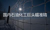 國內石油化工巨頭瞄準精細化工產業
