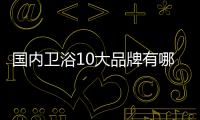 國內衛(wèi)浴10大品牌有哪些（國內衛(wèi)浴10大品牌）