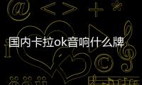 國內卡拉ok音響什么牌子最好（家庭卡拉ok音響哪個品牌好）