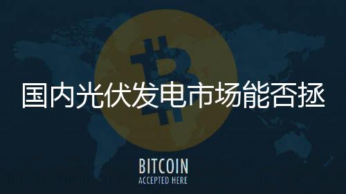 國內(nèi)光伏發(fā)電市場能否拯救“寒冬”中的光伏,市場研究