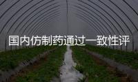 國內仿制藥通過一致性評價的難點何在