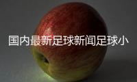 國內最新足球新聞足球小將重制版今日頭條足球