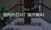 國內外芯片廠商齊聚AICC 多元計算已呈百花齊放之勢
