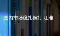 國(guó)內(nèi)市場(chǎng)穩(wěn)扎穩(wěn)打 江淮持續(xù)拓展海外市場(chǎng)
