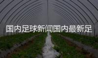 國內足球新聞國內最新足球新聞足球比賽記錄