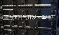 國內(nèi)頁巖氣開發(fā)大舉鋪開 能源格局或生變