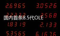 國內(nèi)首條8.5代OLED面板生產(chǎn)線落戶,市場研究
