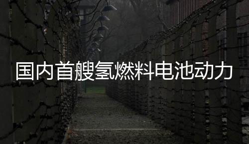 國內首艘氫燃料電池動力船完成首航 船舶工業(yè)加快推進綠色發(fā)展