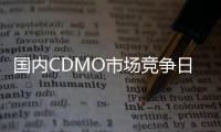 國內CDMO市場競爭日益激烈，企業如何突圍？