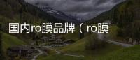 國內ro膜品牌（ro膜品牌排名）