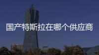 國產特斯拉在哪個供應商的業績中占比最大？