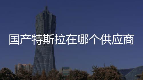 國(guó)產(chǎn)特斯拉在哪個(gè)供應(yīng)商的業(yè)績(jī)中占比最大？