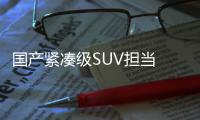 國產緊湊級SUV擔當 滿足國6排放標準！