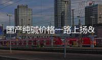 國產純堿價格一路上揚 美國貨登陸秦皇島港,行業資訊